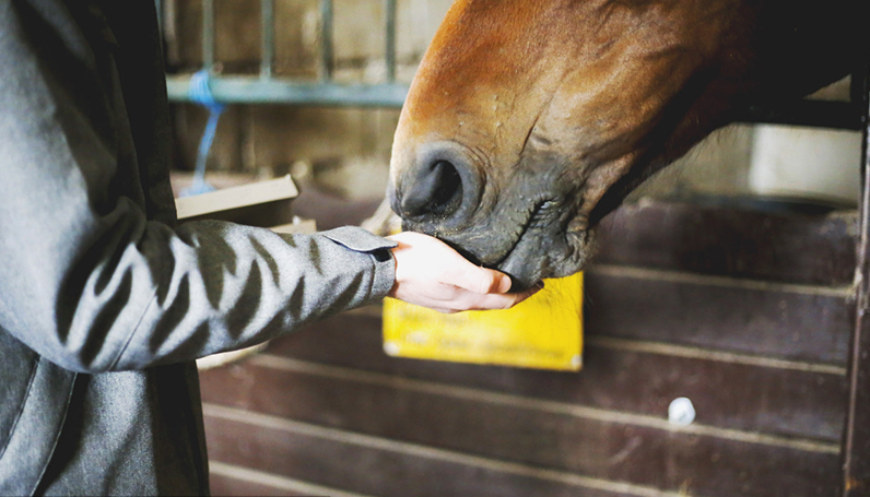 9001诚信金沙(中国)品牌公司